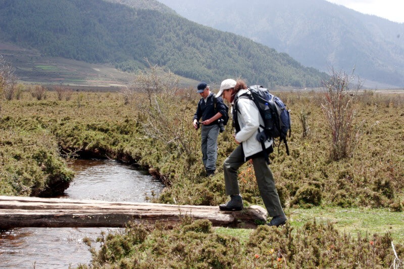 Druk Path Trek