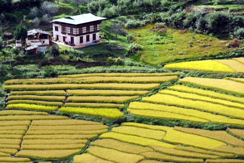 Bhutan Agro Tour