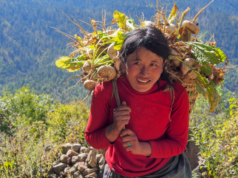 Agro Tourism