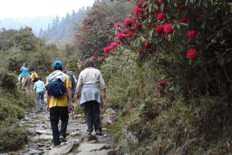 Drukpath Trek